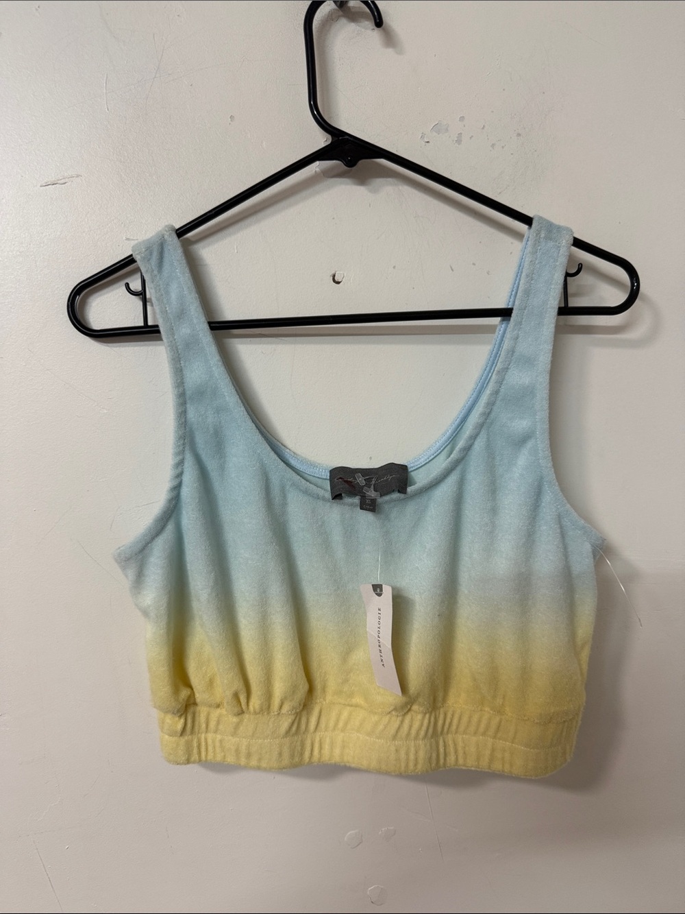 Anthropologie Blue and Yellow Ombre Cropped Tank